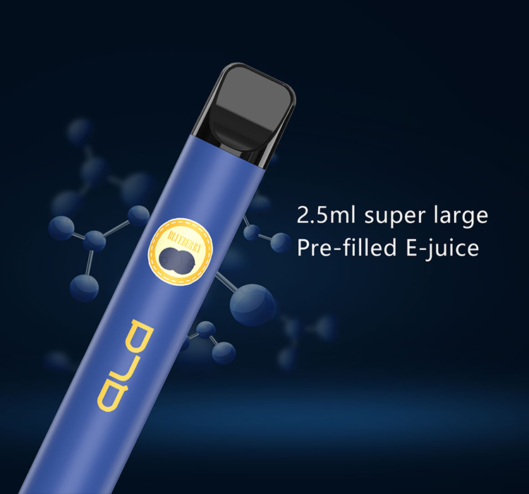 500 Puff Disposable E Cigarette