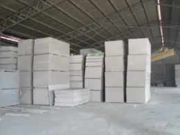 Gypsum board