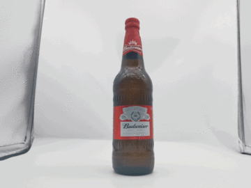 Budweiser 580ml koleksi baik