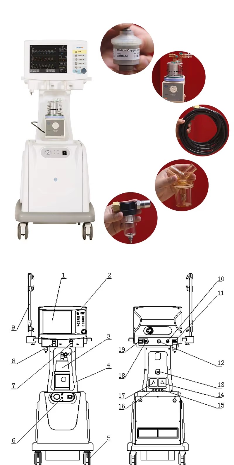 Medical Ventilation