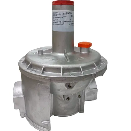 Pietro Fiorentini FMF301650005AB Natural Gas Pressure Regulator
