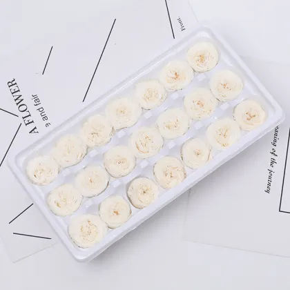 Yuntu Wholesale: Custom Preserved Flowers & Austin Rose Buds