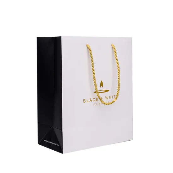 High Quality Luxury Packaging Coated Paper Bag