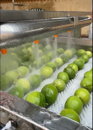 Fruit Juice Production Line Lemon Juice Production