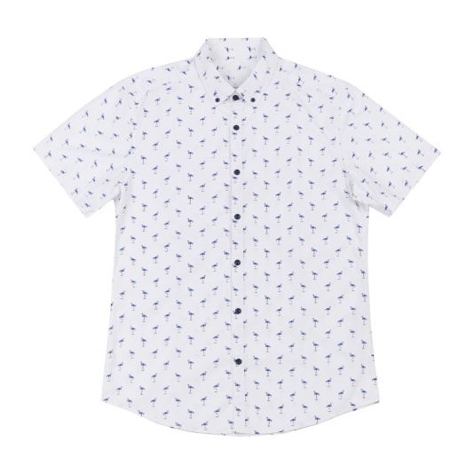 Mens cotton shirts