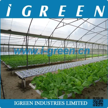 Agricultural PVC hydroponics growing systems
