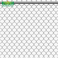 Galvanized chain link fence