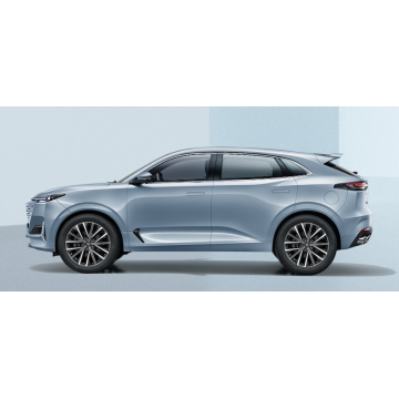 2024 Tangan Unik 2.0T Touring Upgrade