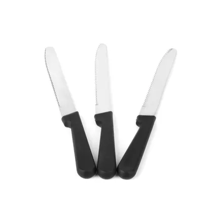 best steak knife set