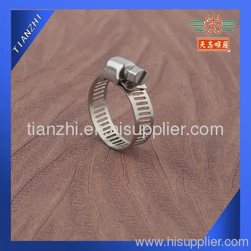 Stainless Steel Mini Gear Band Clamp 