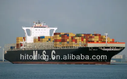 MSC FROM CHINA TO WORLD WIDE