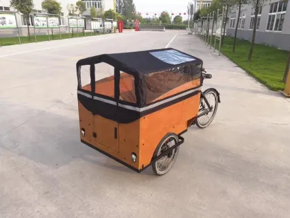 Electric Cargo Tricycle with Five Seats for Children