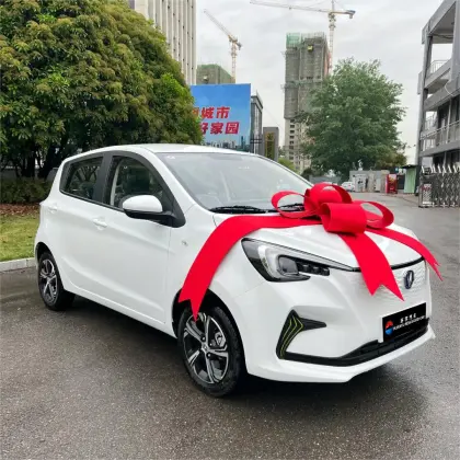 2024 Changan Benben E-Star Mini EV