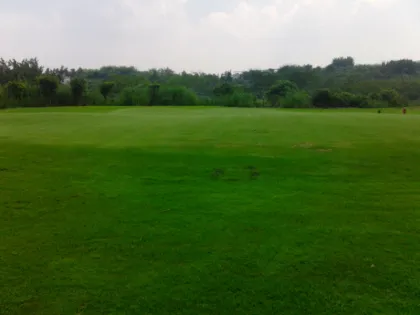 Golf Putting Green