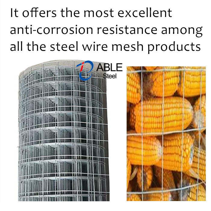 WELDED WIRE MESH