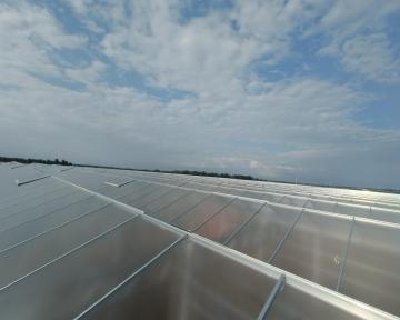 Steel Gutter Multi Type Glass Planting Greenhouse