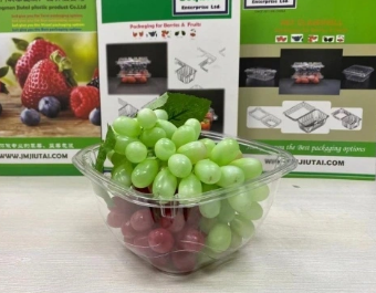 Disposable Plastic Fresh Fruit Container