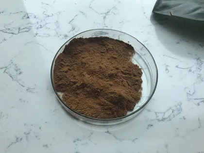 Best Price Black Fungus Mushroom Extract Powder