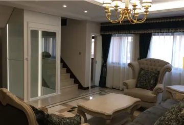 320kg Villa Lift Home Lift