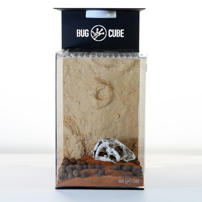 Caixa de acrílico de transmissão alta de tamanho personalizável para lagarto