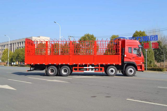 شاحنة نقل البضائع بحصة السور السائبة 8 × 4