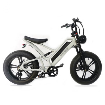 BOXU 2022 Aluminium legeringsframe Spaakwielen 48V 15.6AH Motorfiets: Bicicleta Electrónica y e-bike
