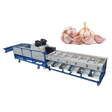 Fruit and Vegetable Sorting Machine for Farm Use