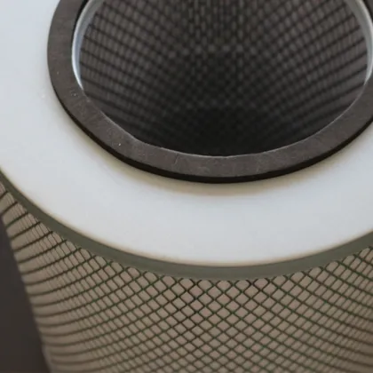 OEM Customized Air Purifier Filter for Austin HM200/200S/250/250S - Camfil HEPA Filter