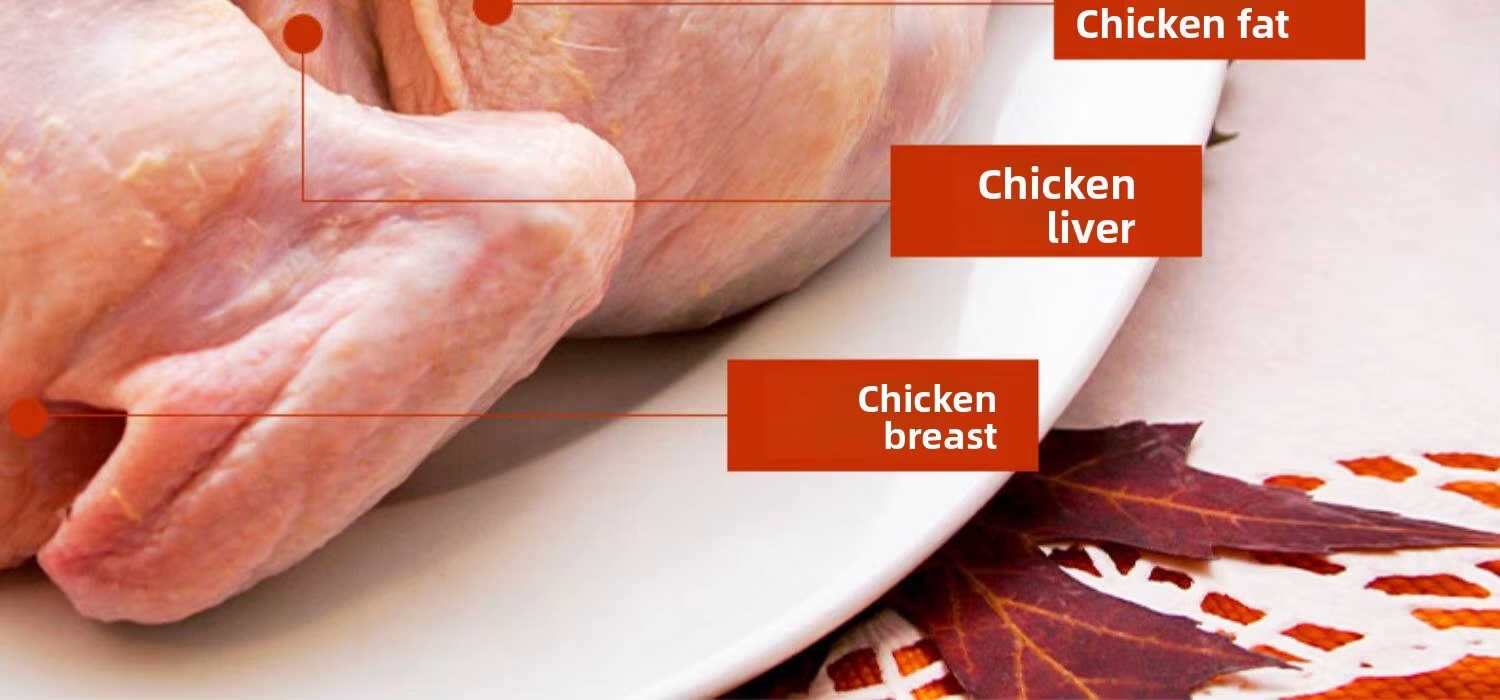 H73b03f7fc6974393a8a34b57670b162aP