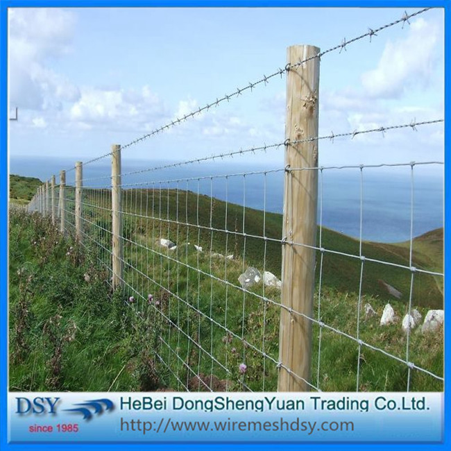 cattle net04 cattle net04