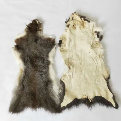 squirrel hides tanned squirrel skin grey squirrel fur pelt