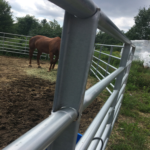 Duurzame veiligheid PVC 3 rails Paardenhek / omheining van rundvee