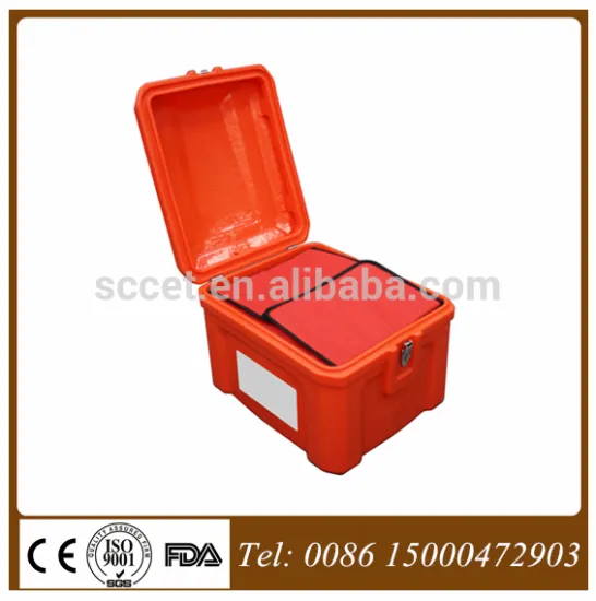 food box for transport hot, transport plastic box for food, fast food                        
                                                                                Supplier's Choice