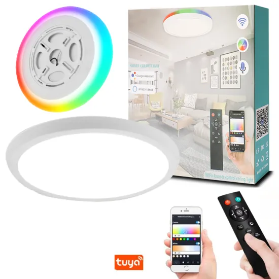 Smart WiFi-Controlled Flush Mount Ceiling Lamp with RGB LED, 12 Inch, 35W, Dimmable, 2700K-6500K