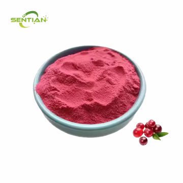 Pure Natural High Quality Cranberry Powder Cranberry Fruit Powder Cranberry Juice Powder