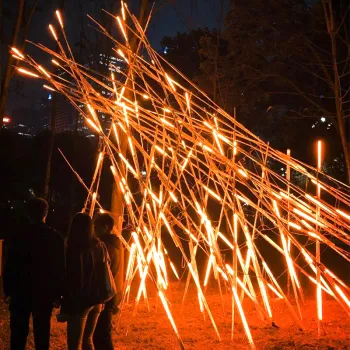LED Bonfire and Flashing Lights: Programming Control for Commercial Landscape Lighting and Garden Flower Bed Decorations