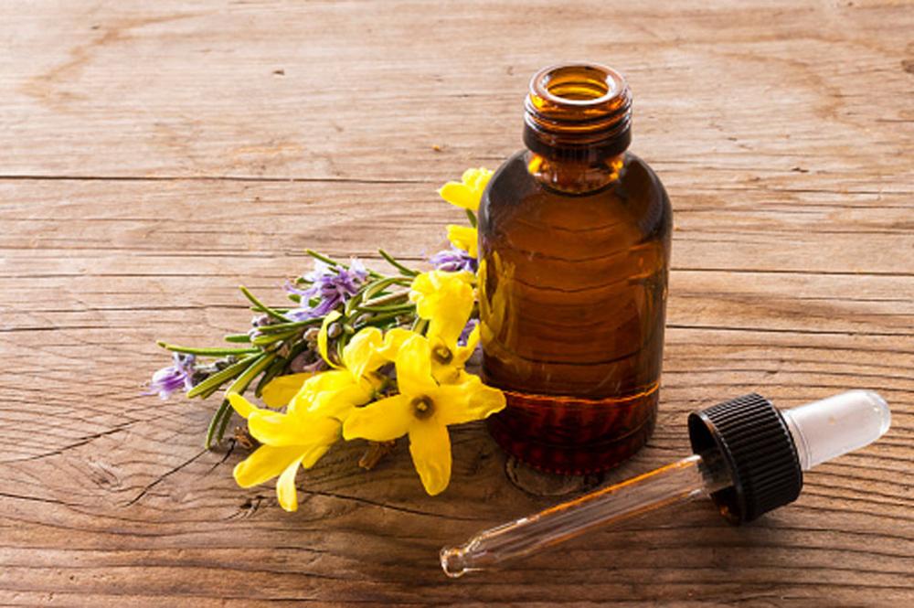 100% pure natural weeping forsythia essential oil wholesale