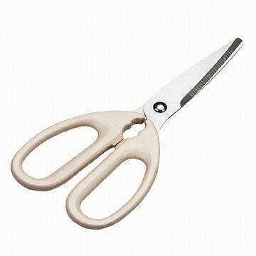 Kitchen Scissor with Plastic Handle and Stainless Ballade