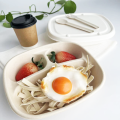 Bagasse -deksel 2 en 3 compartimentcontainer