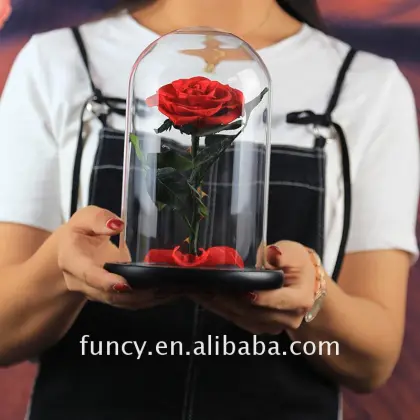 Last 5 Years Glass Cover Preserved Real Red Color Little Prince Forever Rose