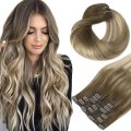 Ombre Walnut Brown Clip Hair