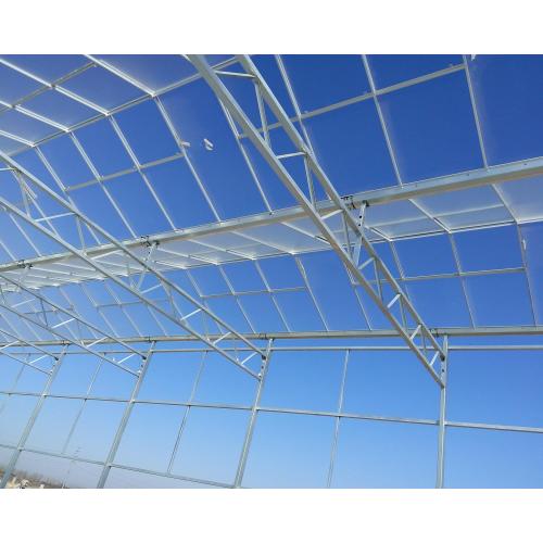 Microalgae Multi Type Agricultural Planting Greenhouse