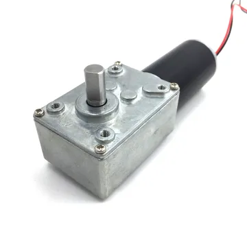ZY31 Small DC Worm Gear Motor