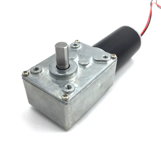 ZY31 Small DC Worm Gear Motor