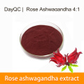 Rose Ashwagandha Extract 4：1