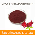 Ekstrakt Rose Ashwagandha 4: 1