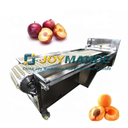 High Quality Automatic Plum Seed Separator Machine