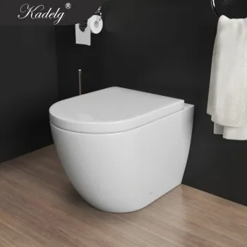 Italian Design Sanitary Toilets with 100% Inspection