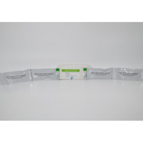 RSV Nucleic Acid Test Kit (PCR- fluorescence probe method)