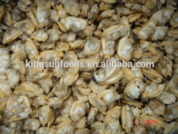 Frozen Cooked Clam Meat IQF Bulk packing